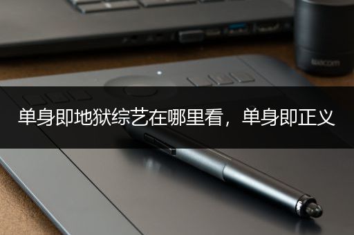 单身即地狱综艺在哪里看，单身即正义